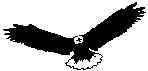 Eagle1.wmf (5120 bytes)